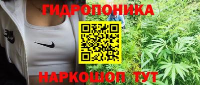 a pvp Обь