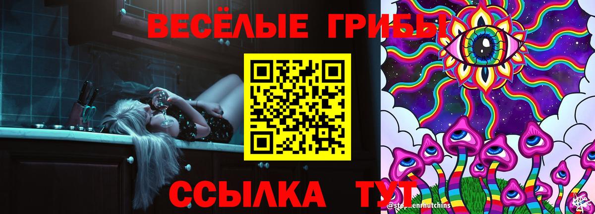 Галлюциногенные грибы GOLDEN TEACHER Пушкино