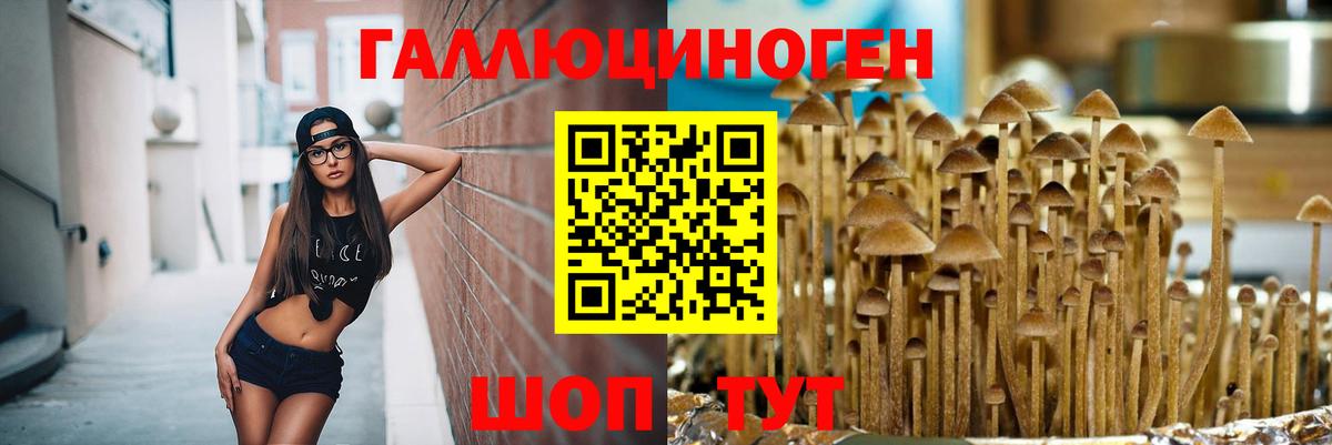 Псилоцибиновые грибы Magic Shrooms  Вход с VPN  Пушкино 